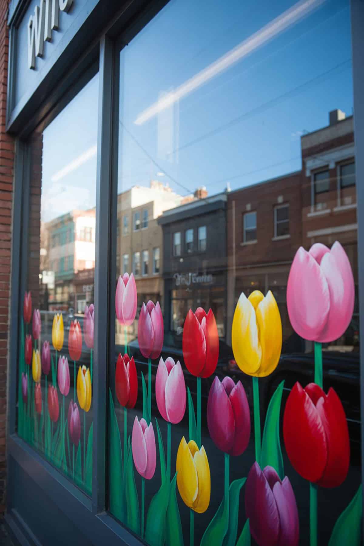 Giant Tulip Field View