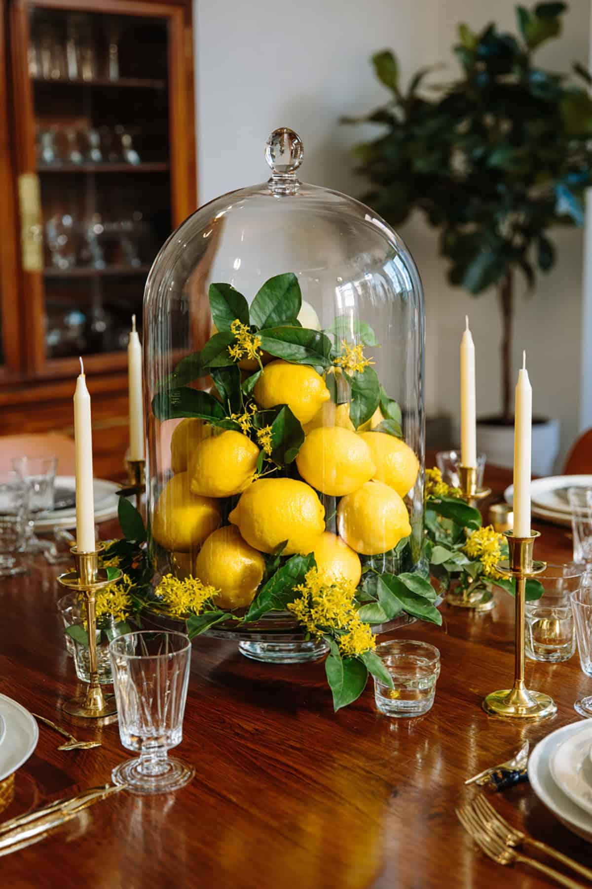 Glass Dome Lemon Display