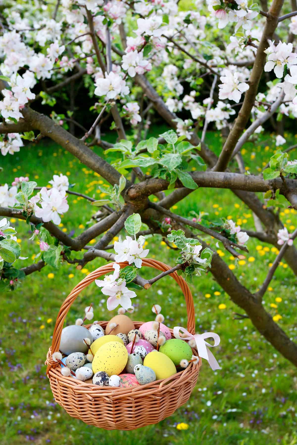 Hanging Egg Basket from Apple Branch