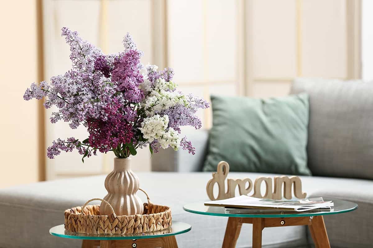 Lilac Tray for Living Spaces