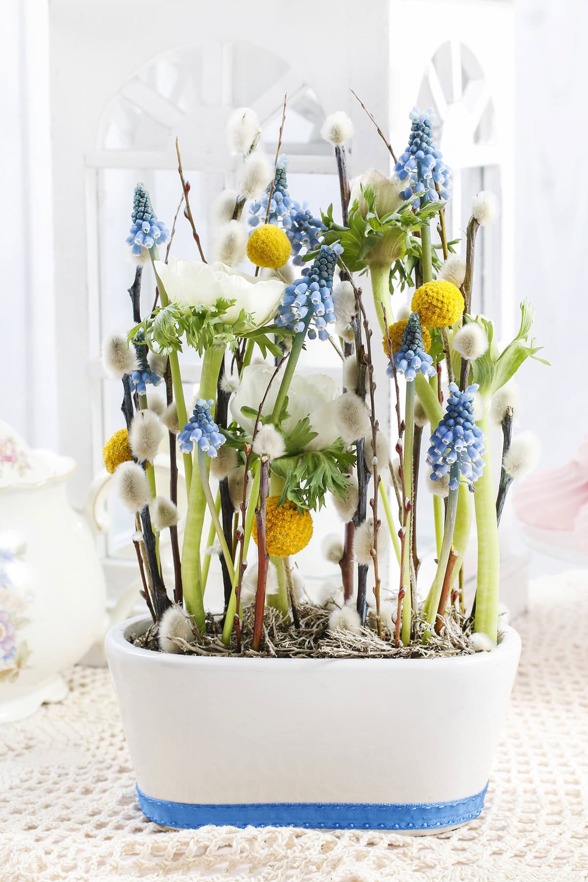 Muscari, Billy Buttons & Pussy Willow Planter