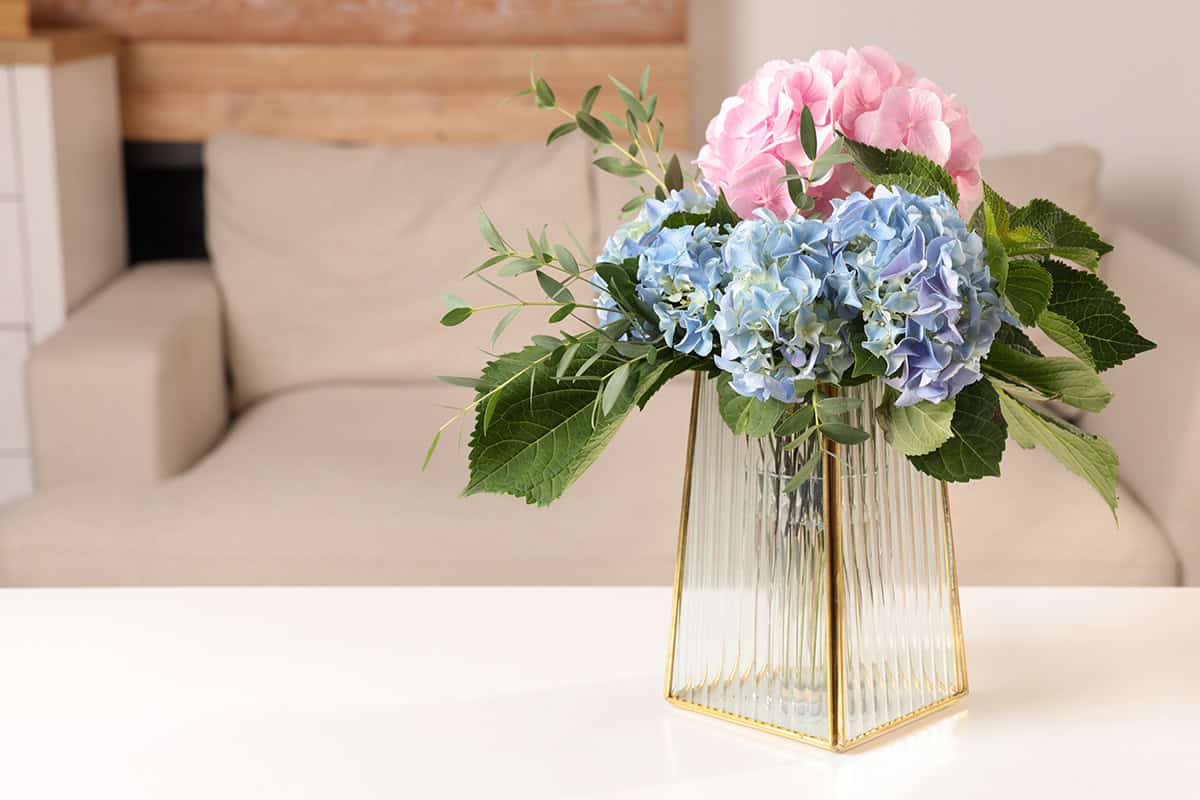 Pastel Hydrangea Centerpiece in a Gold Trimmed Vase