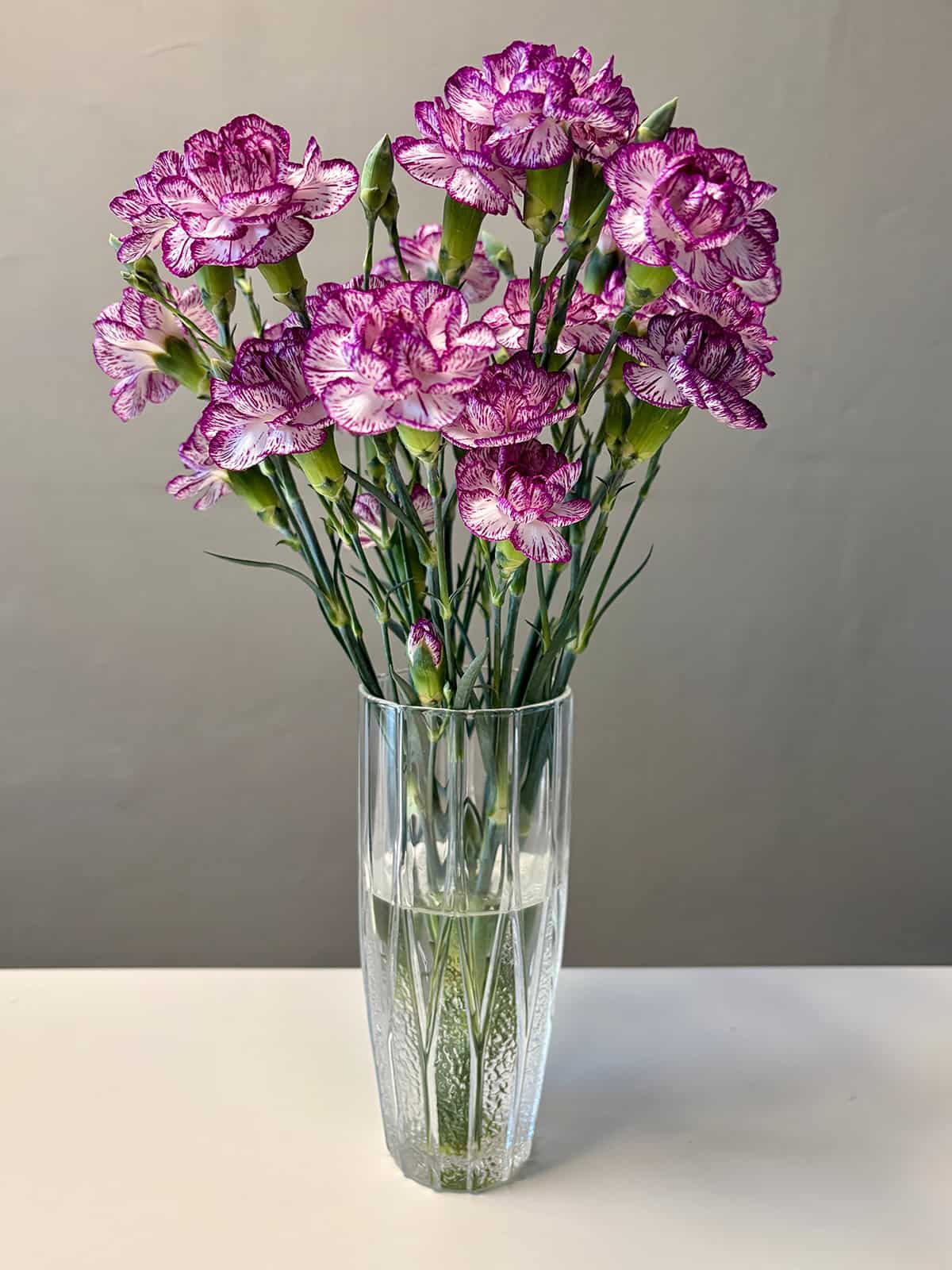 Purple Carnations in a Tall Glass Vase