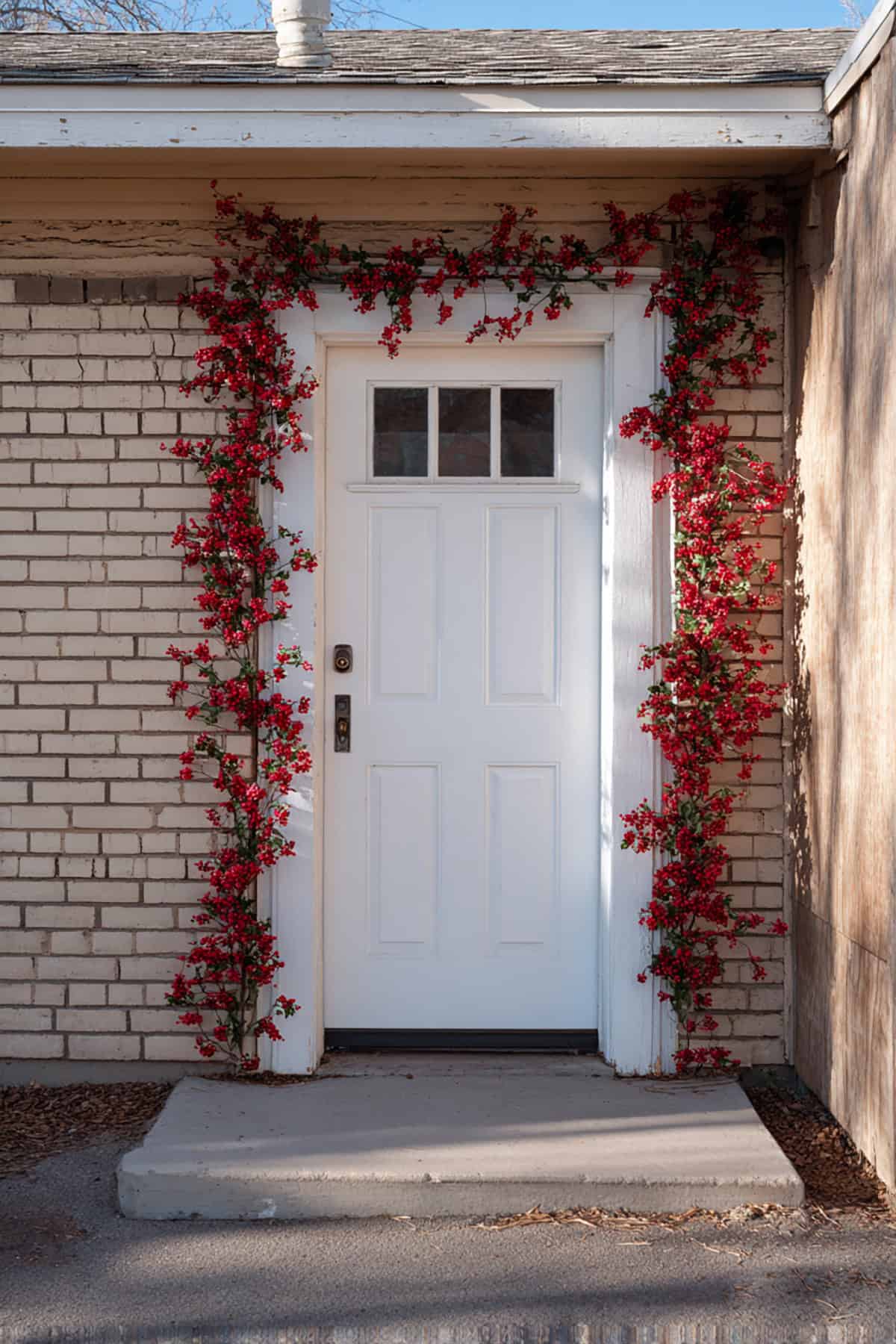 Red Berry Garland Border