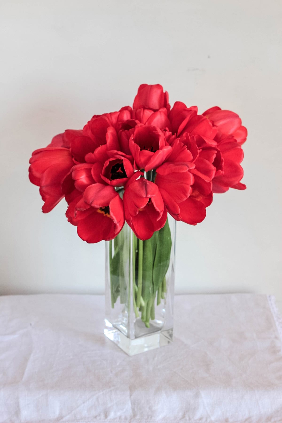 Red Tulips in a Tall Glass Vase