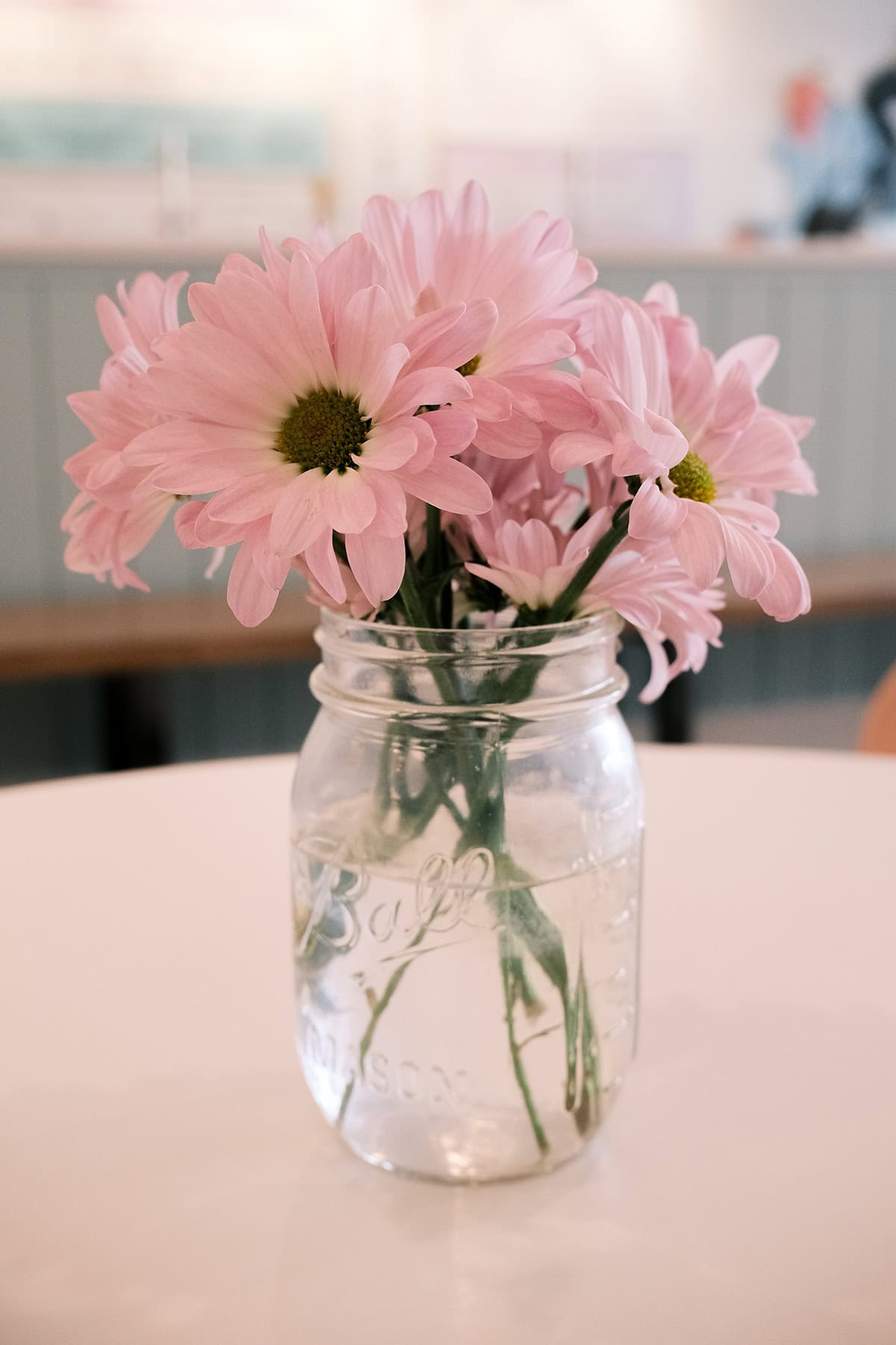 Soft Pink Daisies in a Mason Jar