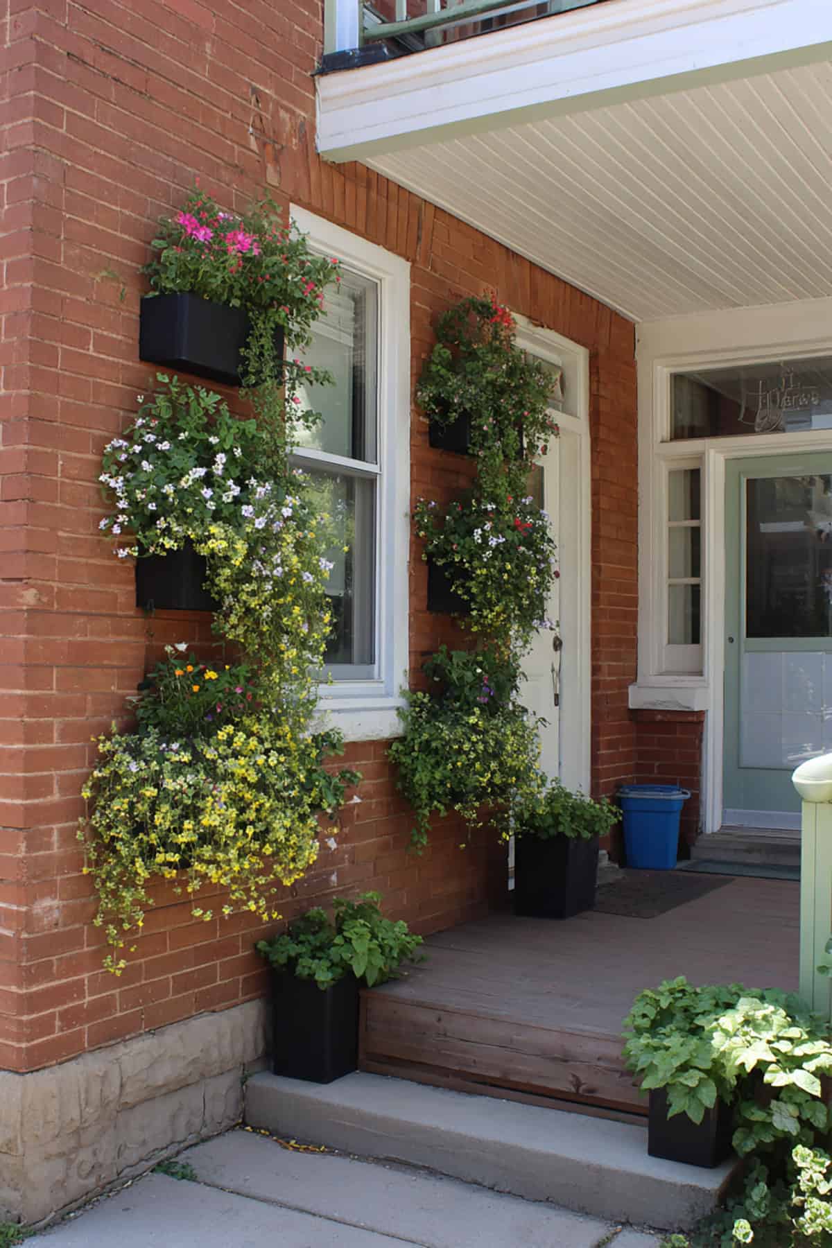 Wall Mounted Planters