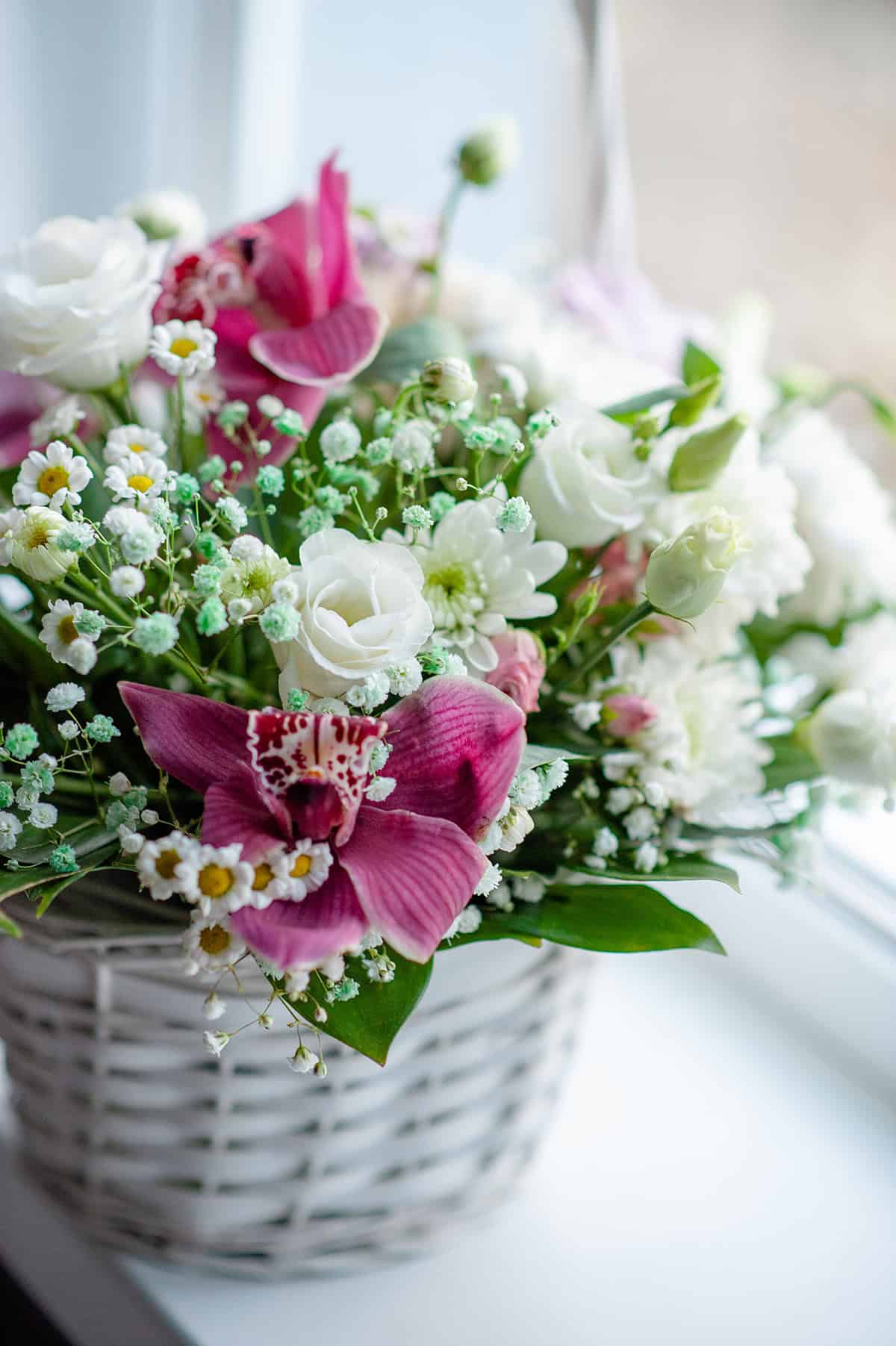 Wicker Basket Orchid Mix