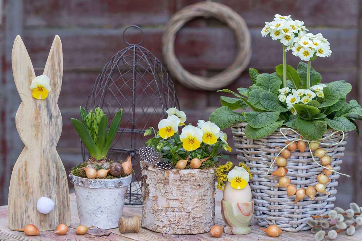 Wooden Bunny with Bulb Clusters