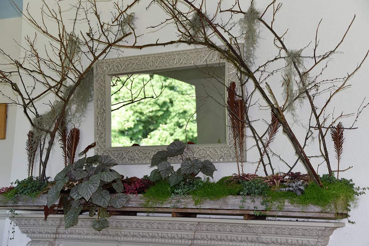 Woodland Interpretation of Early Spring