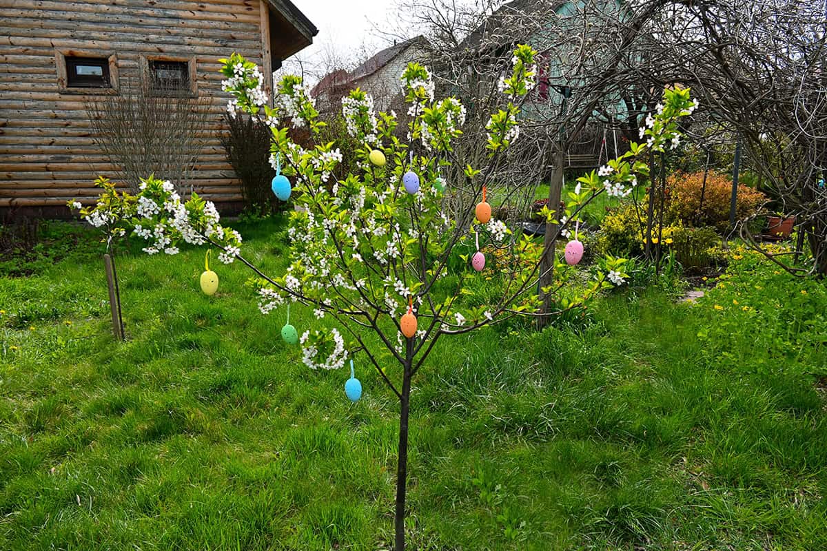 Easter Egg Tree