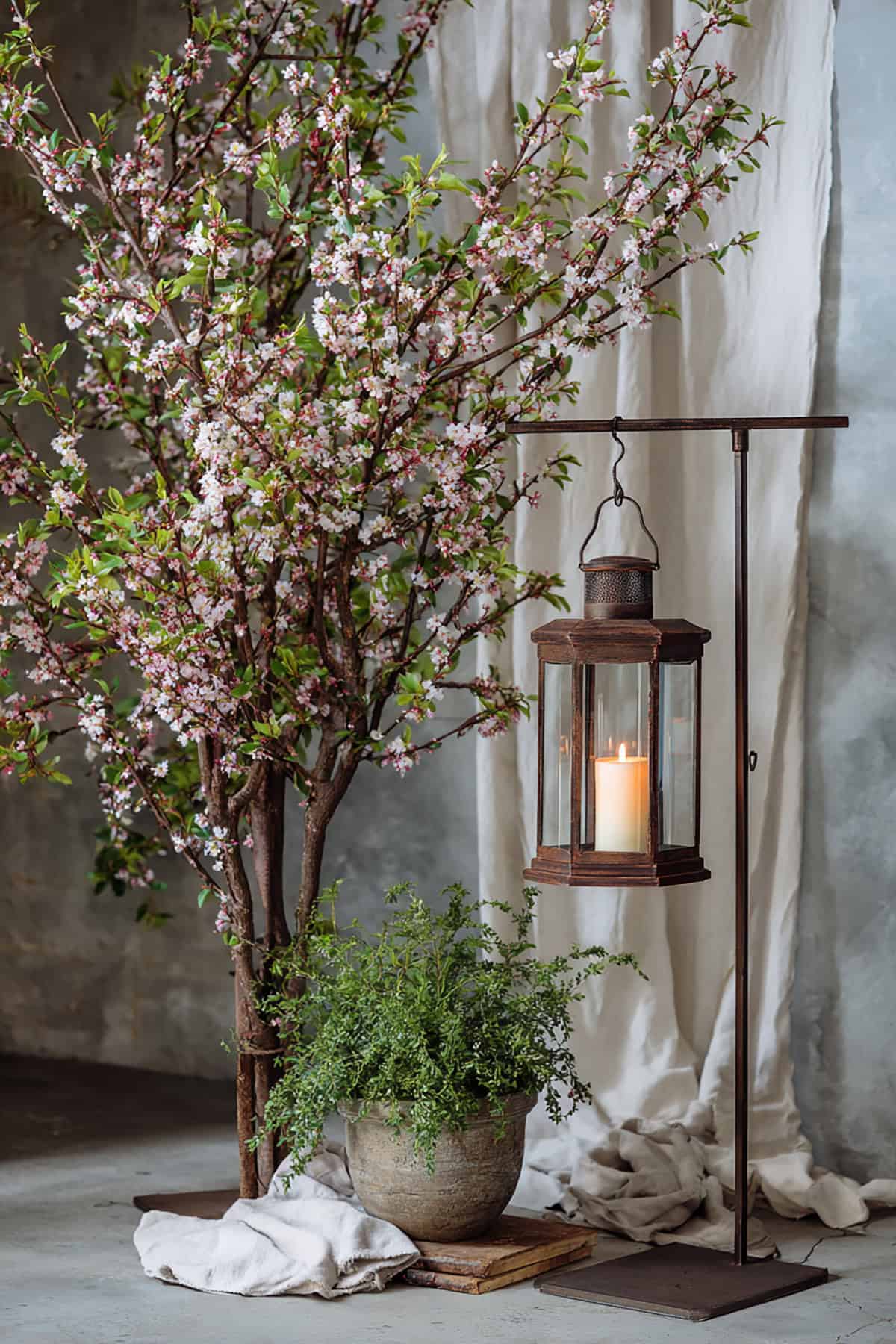 Hanging Lantern With Blossom Branch Backdrop