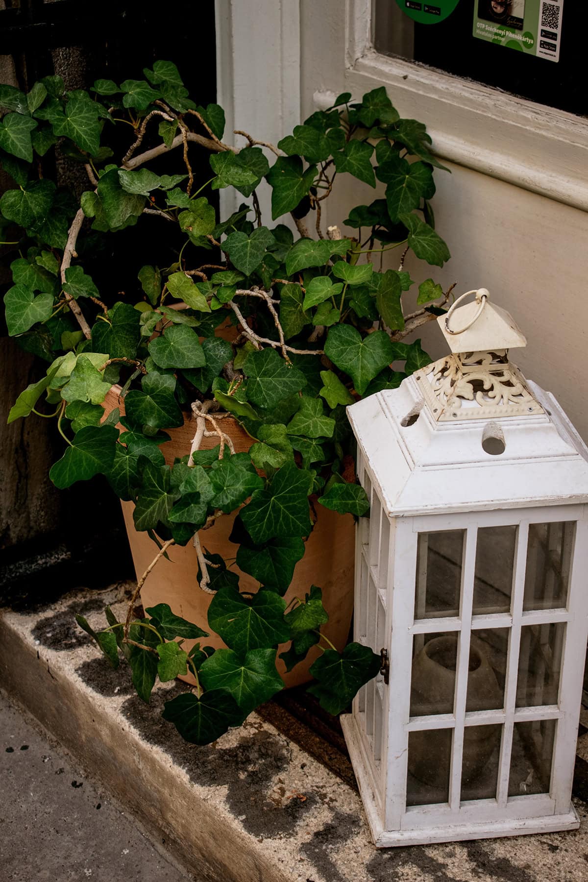 Ivy Corner Lantern Welcome