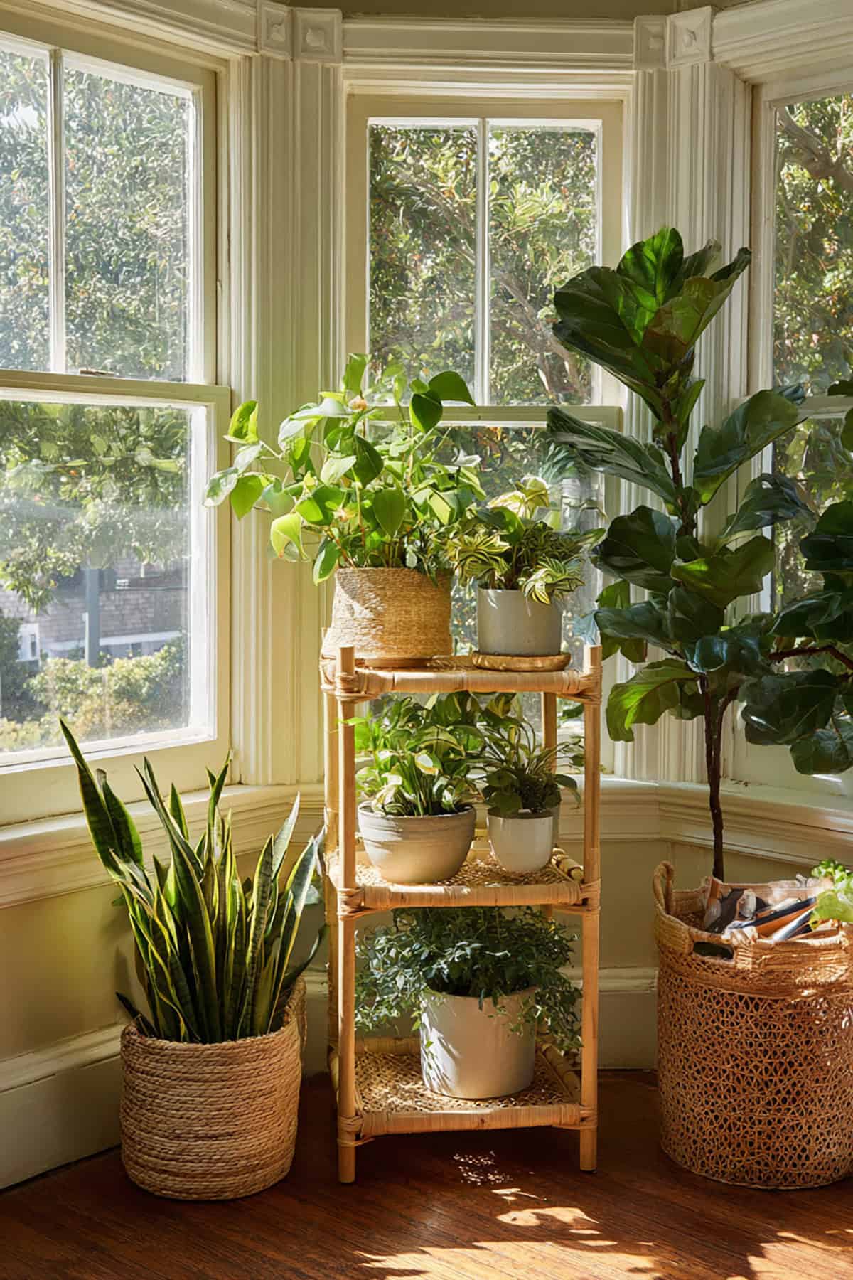 Plant Conservatory Corner With Tiered Stands
