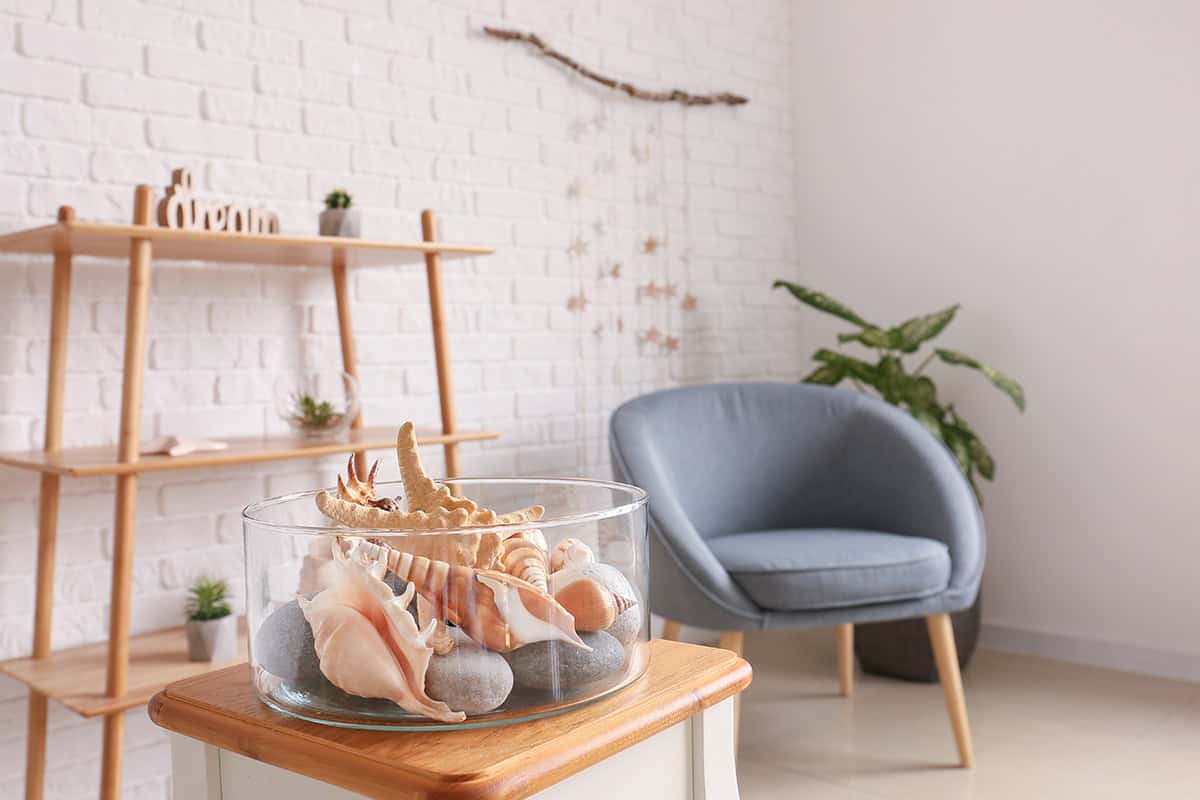 Shell Souvenir Bowl Display