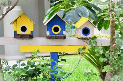 Birdhouse painting ideas