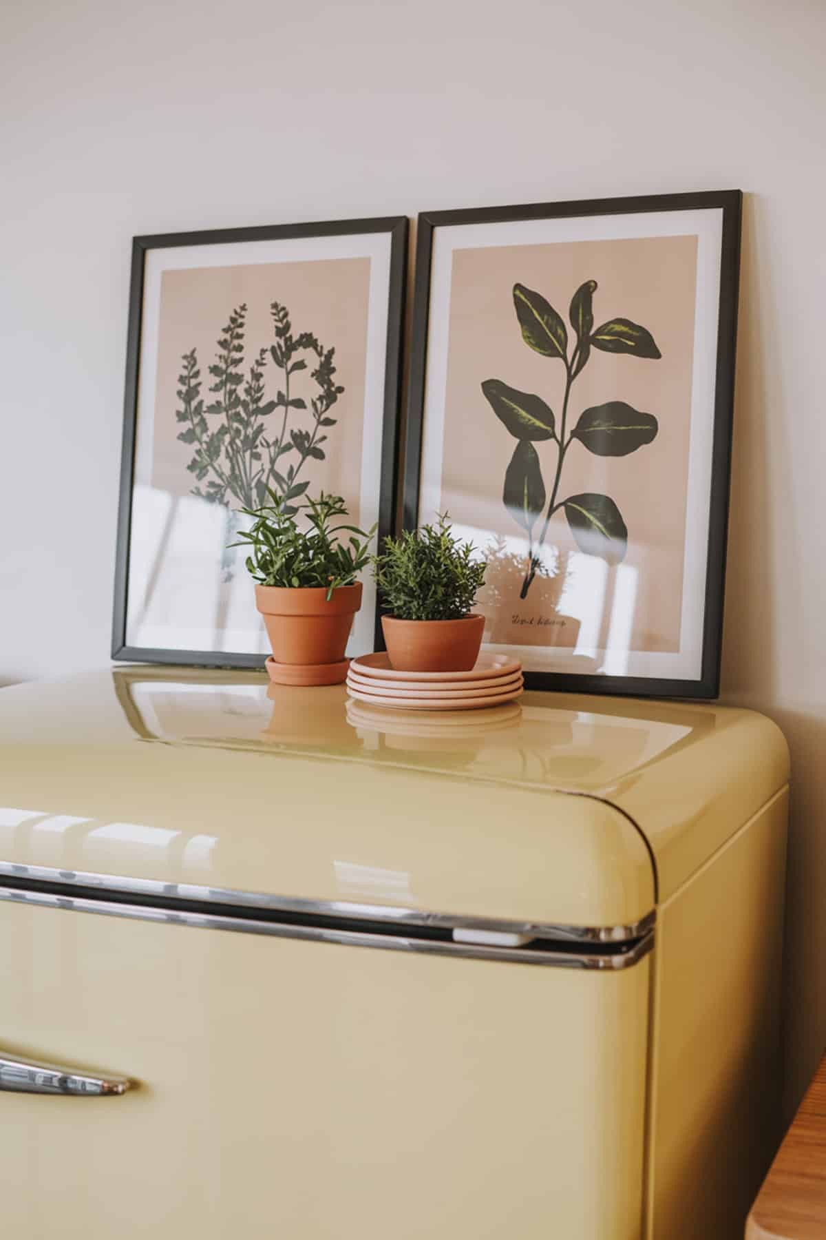 Botanical Prints + Terracotta Duo