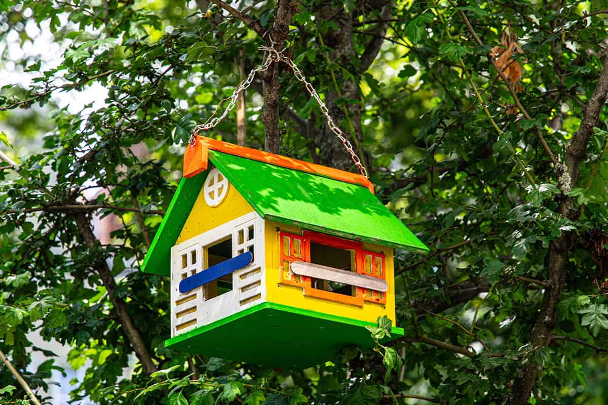 Bright Painted Birdhouse With Modern Color Panels