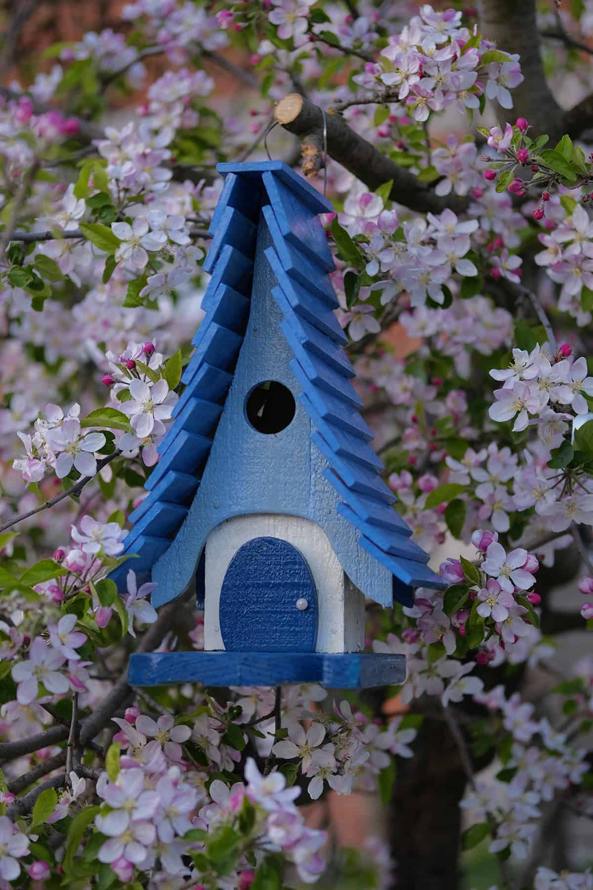 Charming Blue Birdhouse With a Crisp Door Contrast