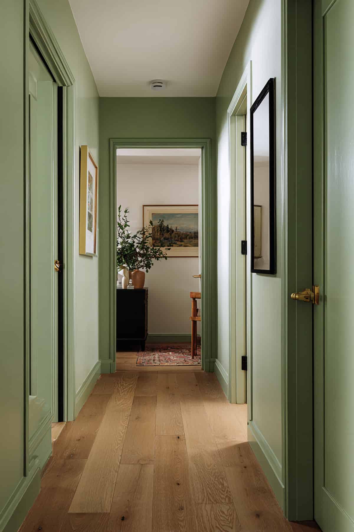 Color Drenched Walls