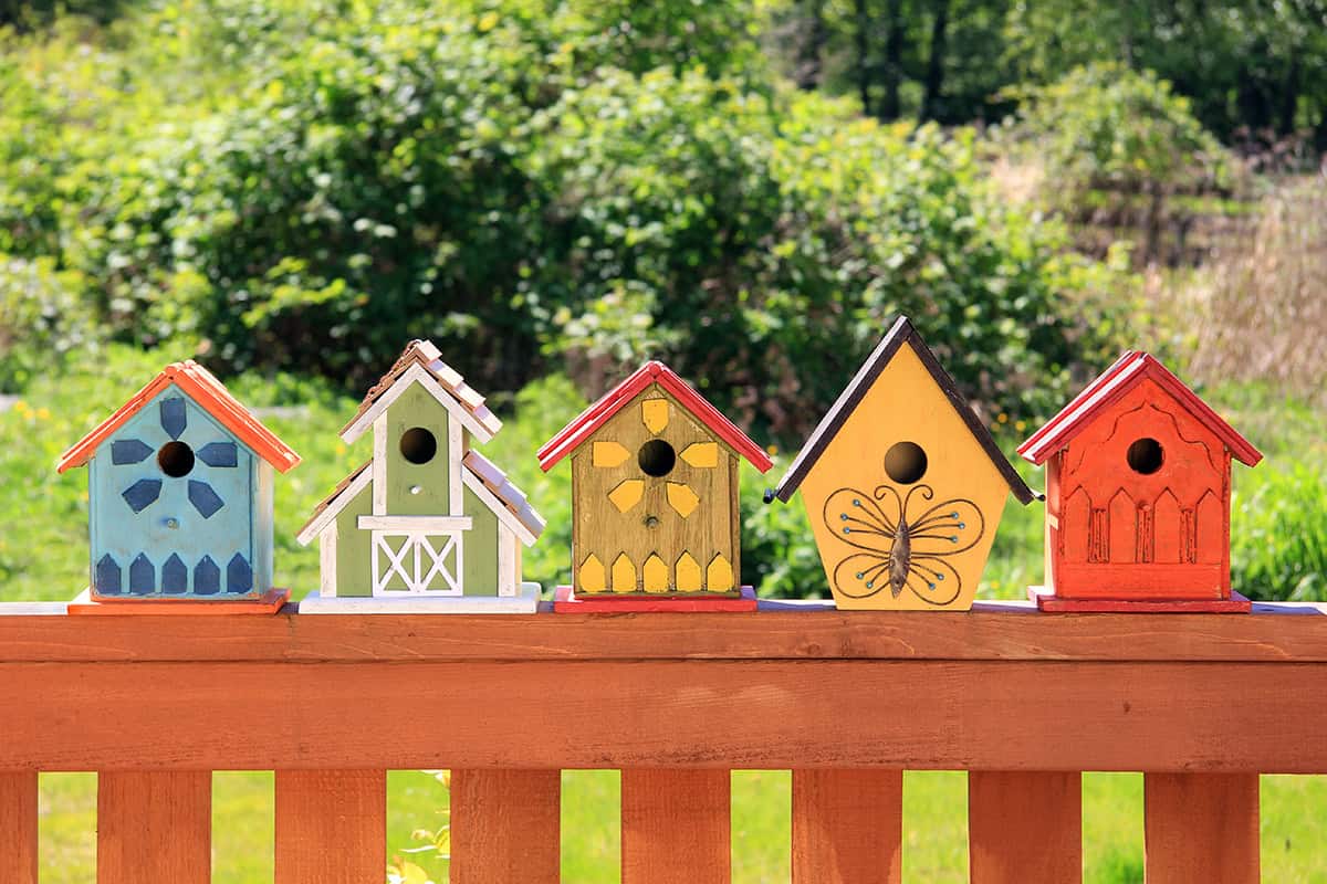 Cute Color Blocked Birdhouse Set