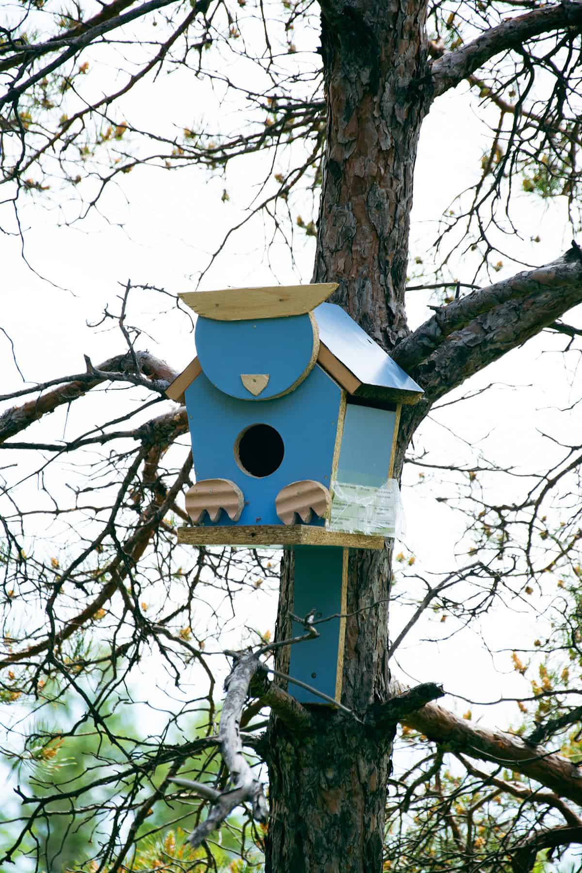 Cute Owl Birdhouse Paint Idea In Soft Blues