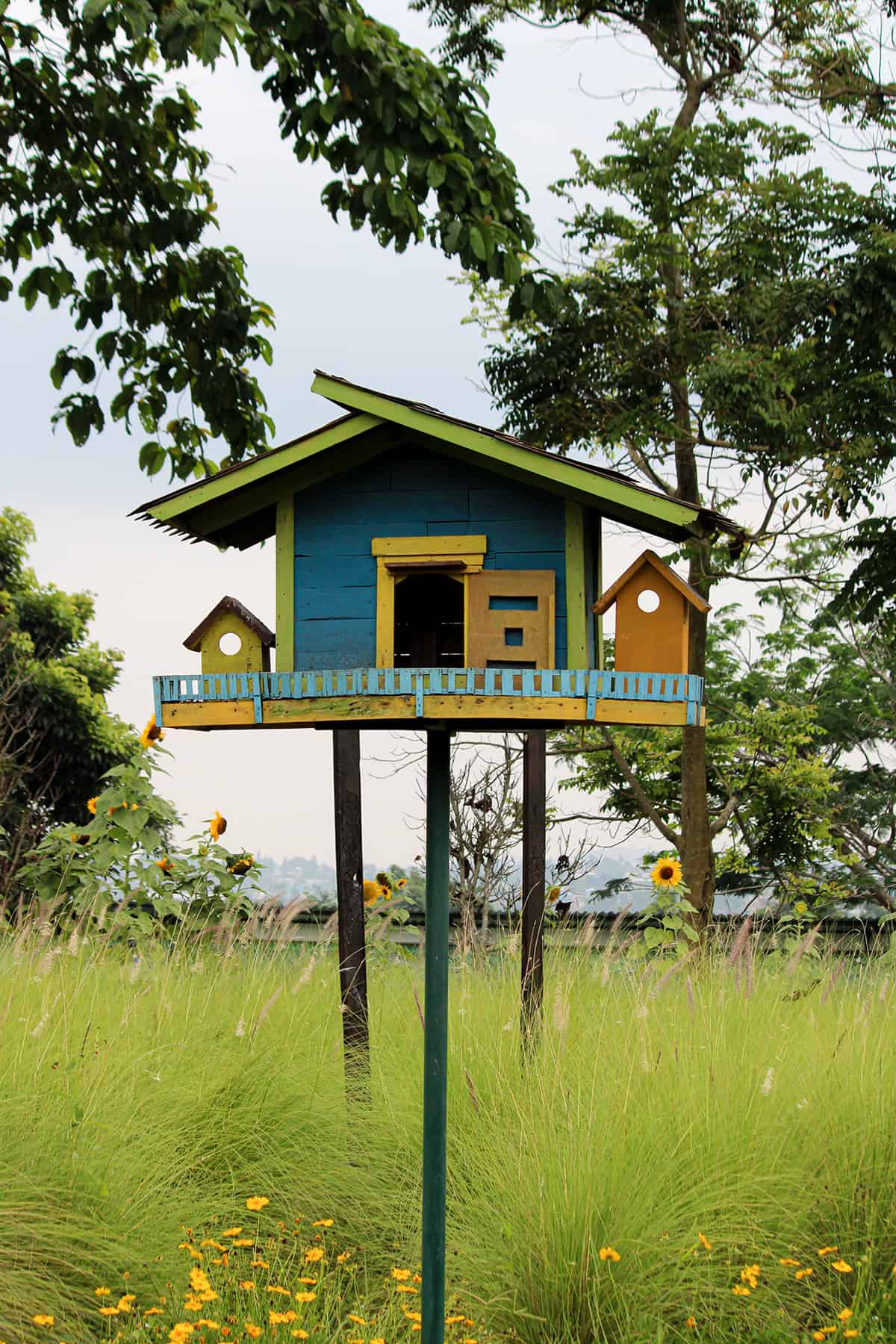 Playhouse Style Birdhouse With Two Tone Trim