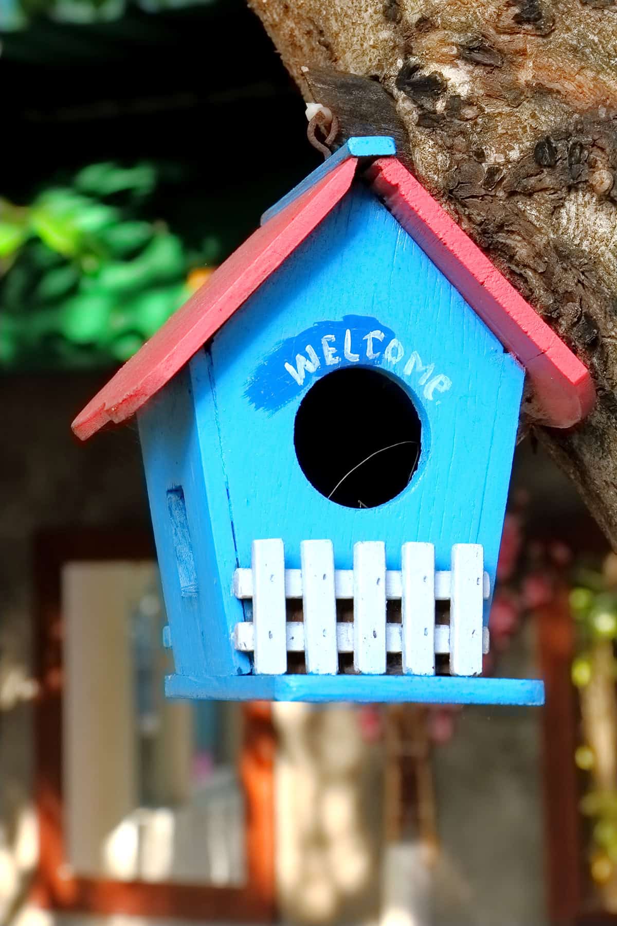 Red Roof, Blue Body with Welcome Lettering