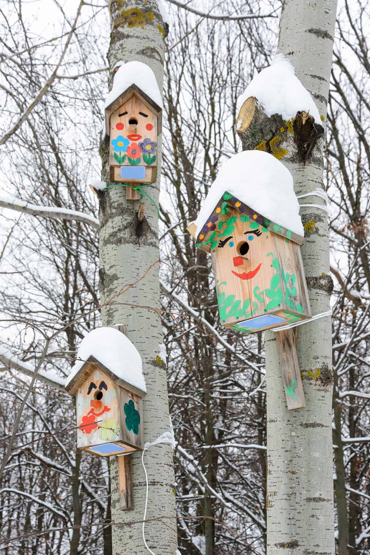 Snow Capped Folk Art Winter Birdhouses