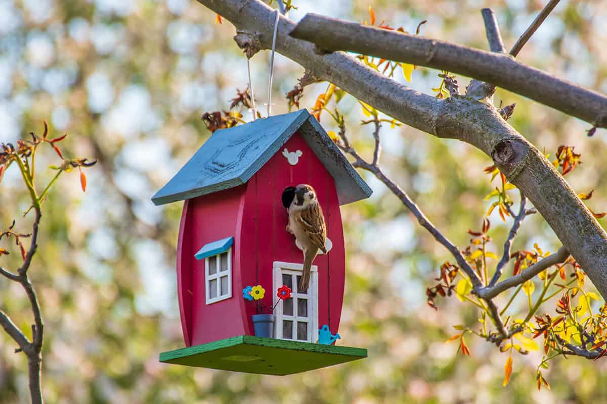 Sweet Red Birdhouse With Tiny Flower Details