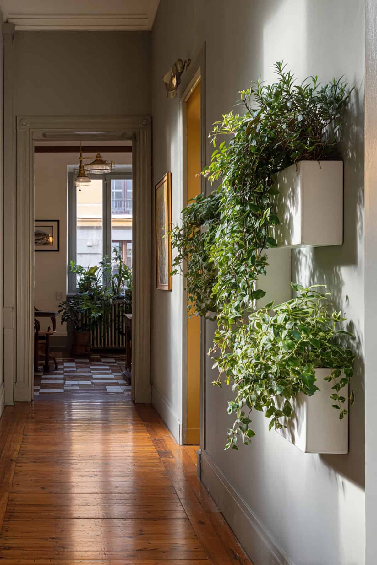Wall Mounted Planters