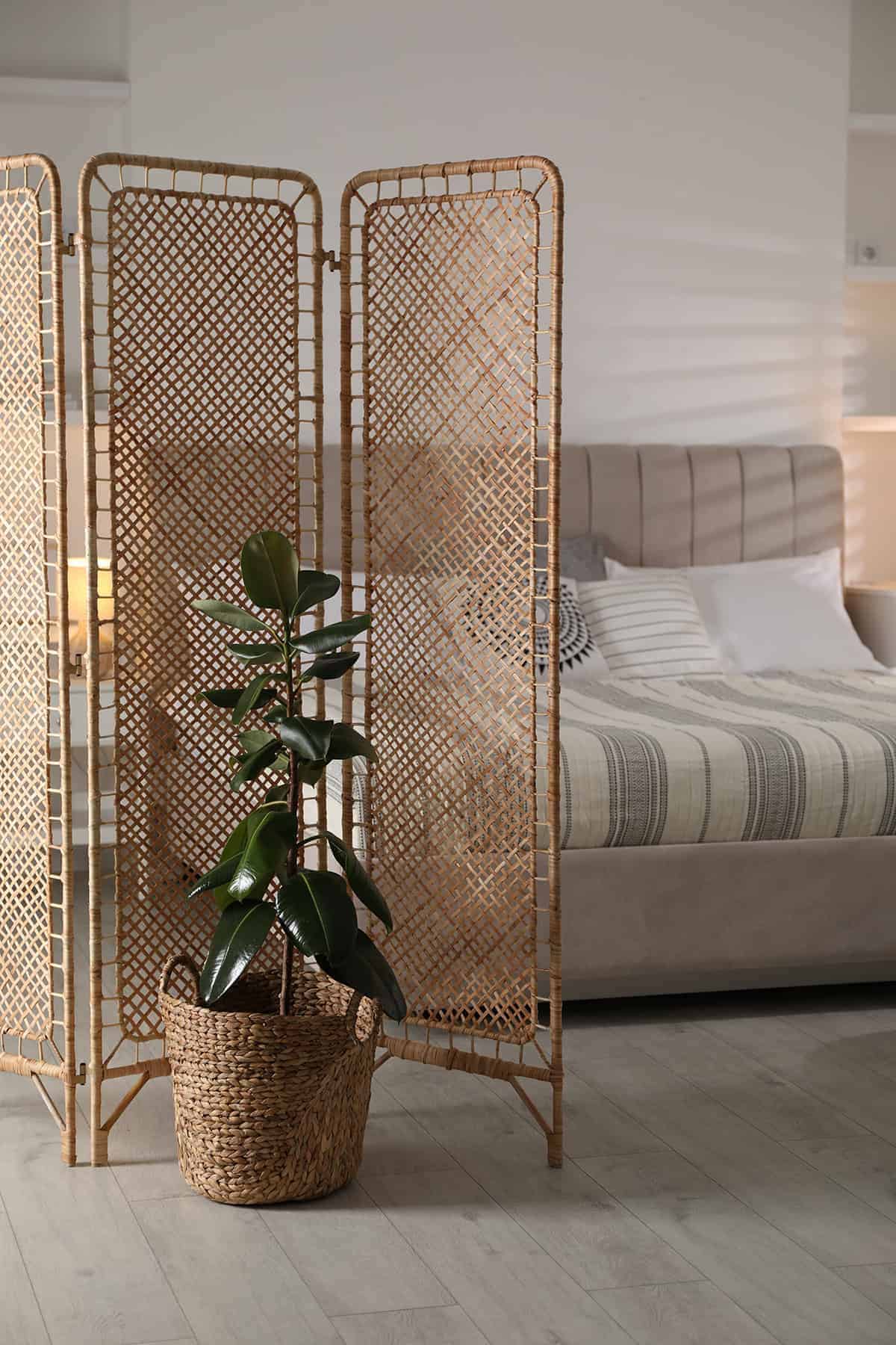 Woven Cane Screen With Soft Privacy