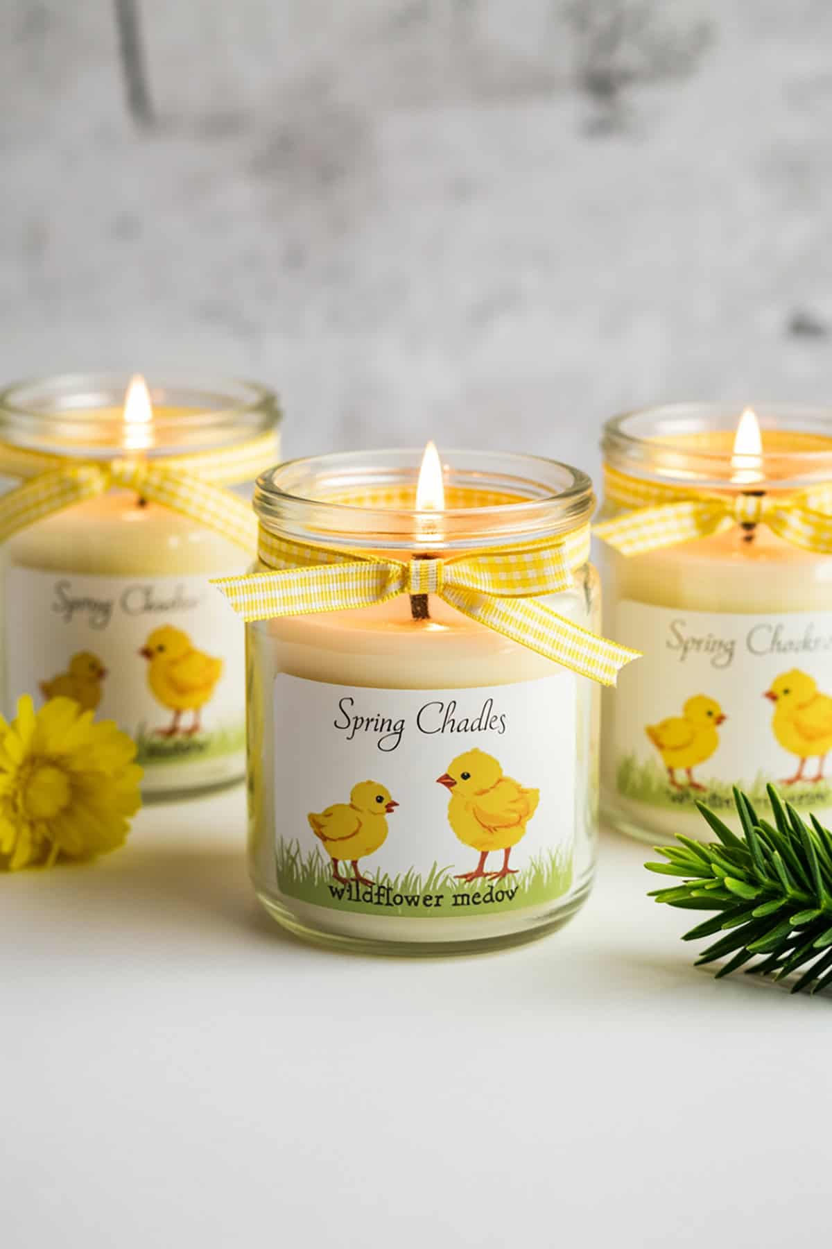 Spring Chick Candle Jars