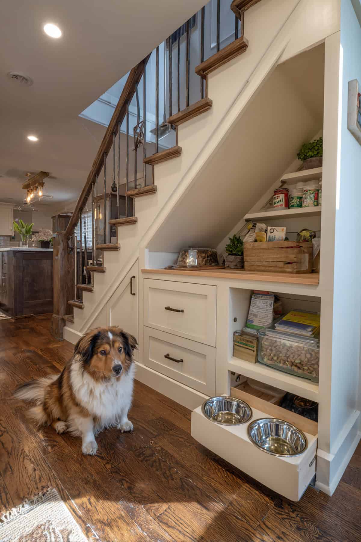 Built In Pet Feeding Station With Storage