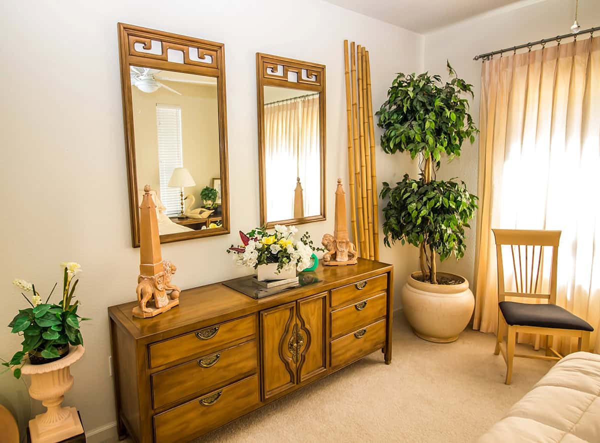 Double Mirror Symmetry and Flowers