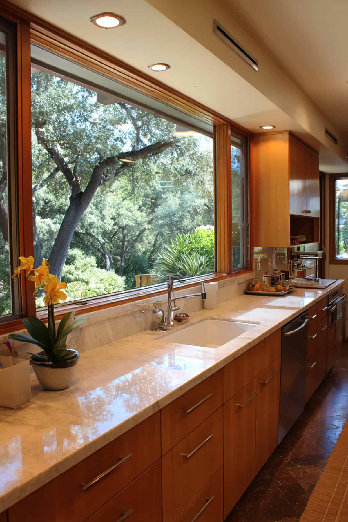 Extra Wide Window with No Upper Cabinet