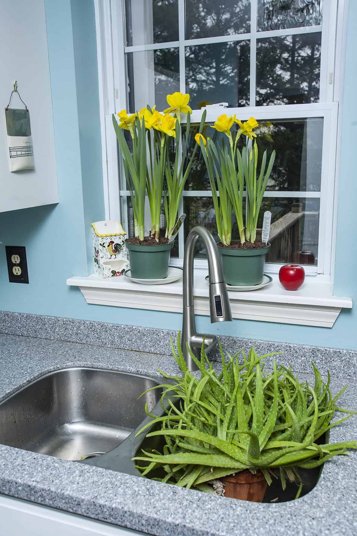 Fresh Flowers Framing the Sink View