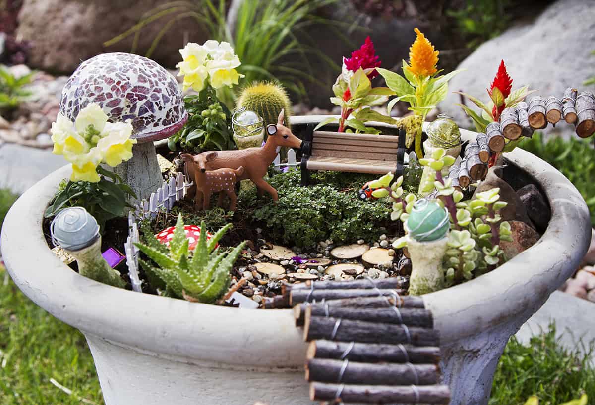 Mini Fairy Garden Bowl with Wildlife