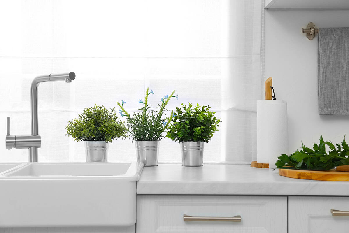 Mini Herb Garden by the Window