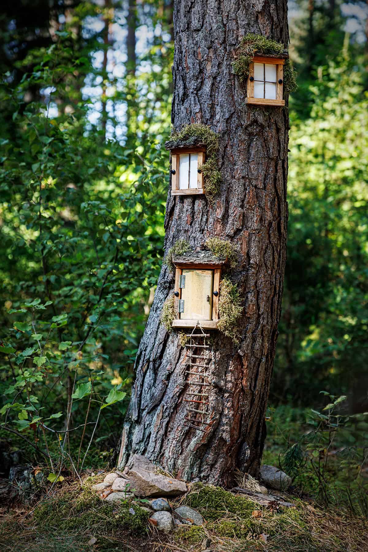 Vertical Fairy Homes on One Tree