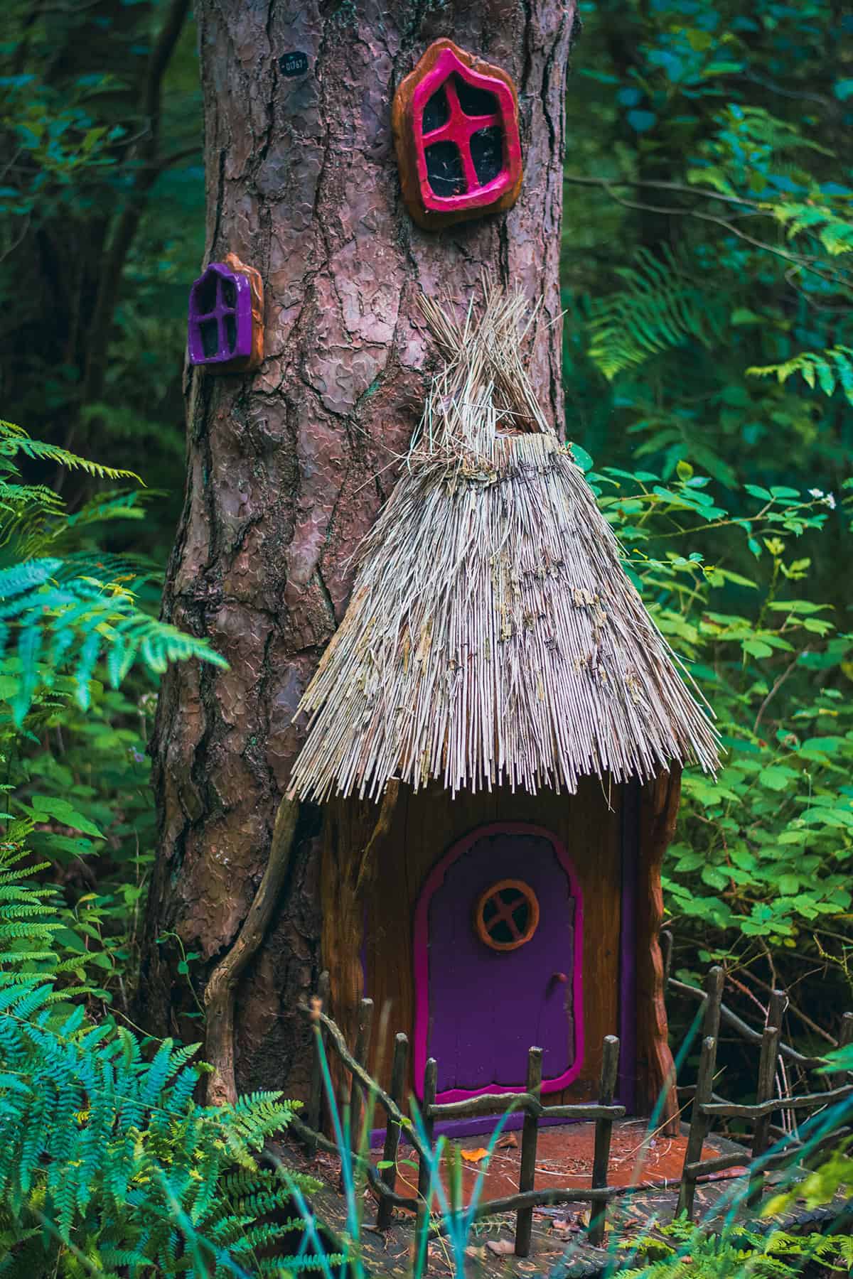 Woodland Fairy House Built Into Bark