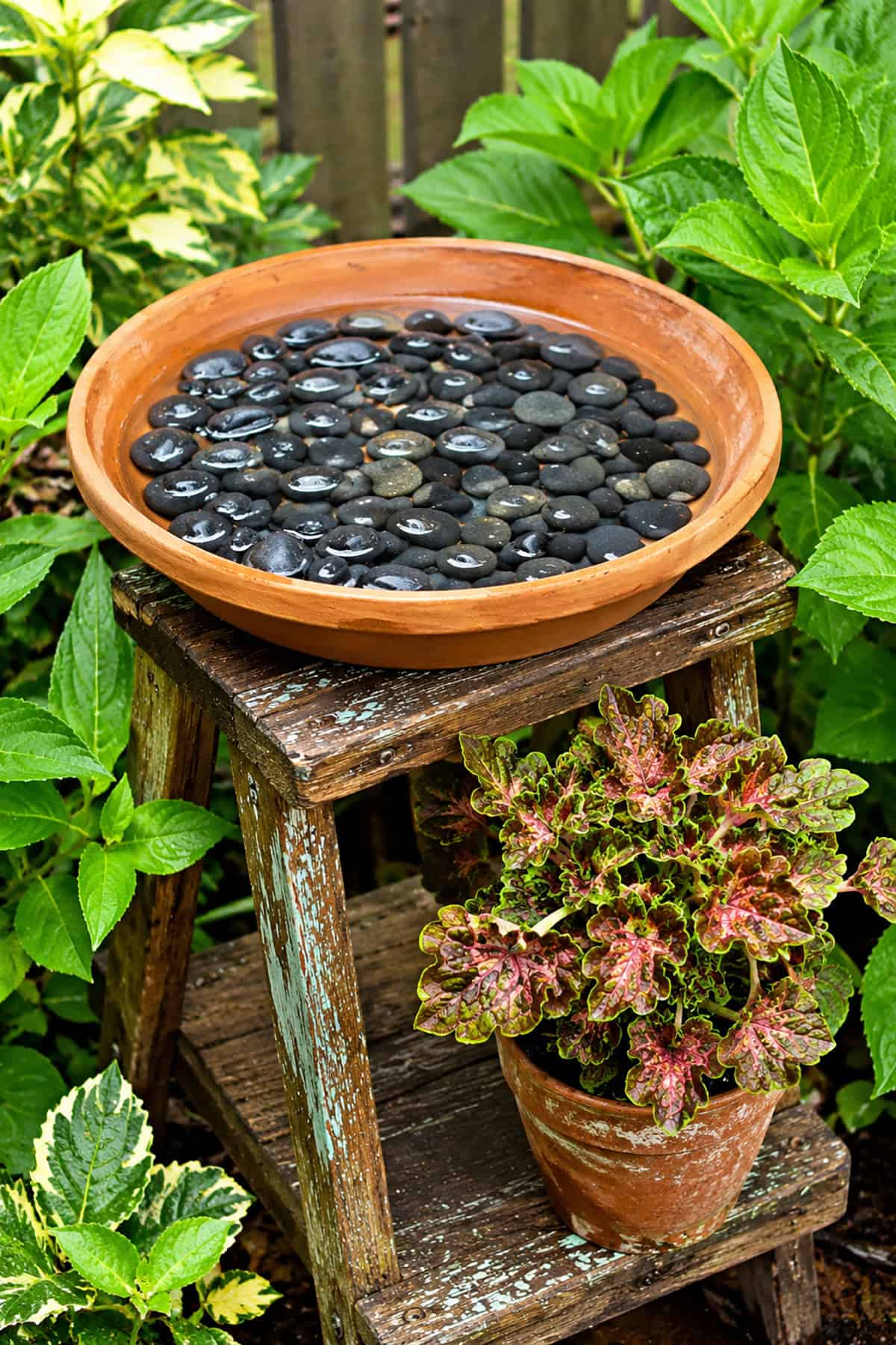 Wooden Stool Bird Bath With Pebbles