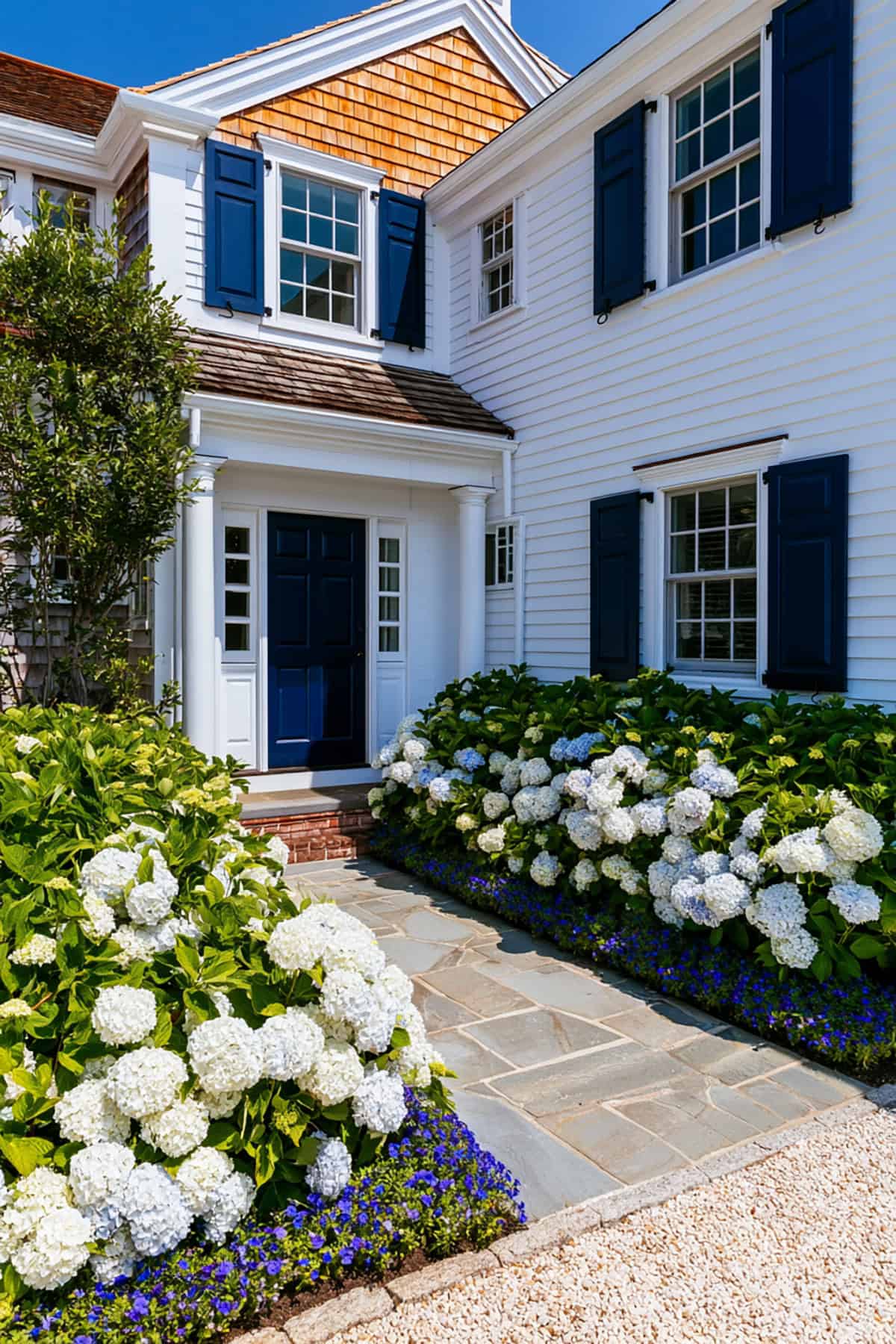 Navy Blue Shutters