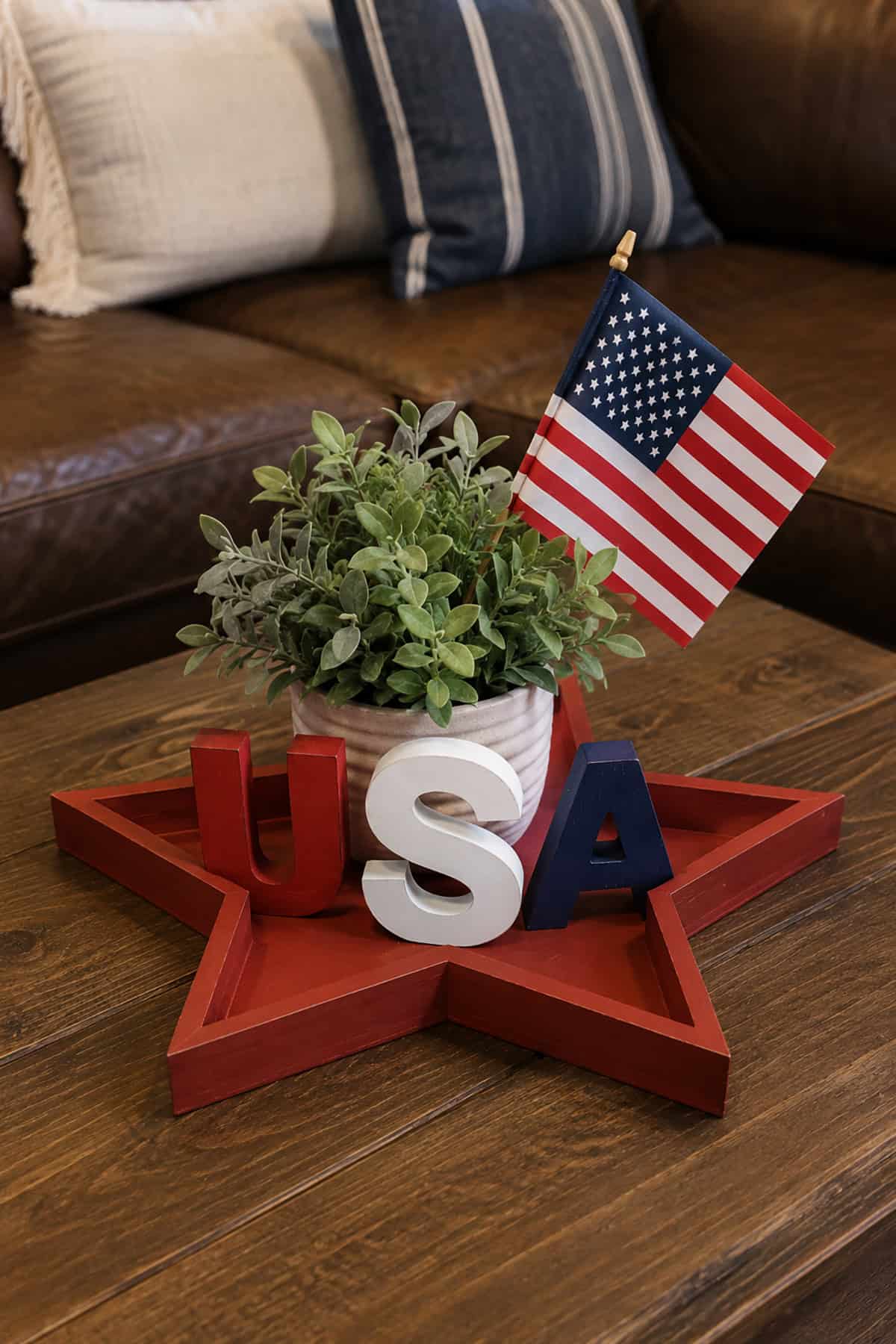 Patriotic Star Tray Display