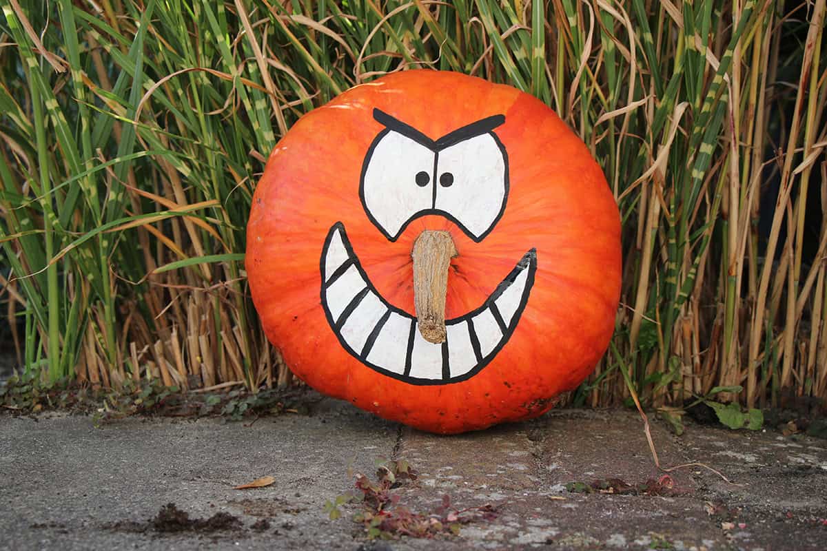 Angry Grinning Pumpkin