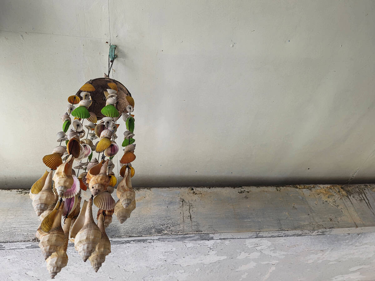 Colorful Seashell Wind Chime