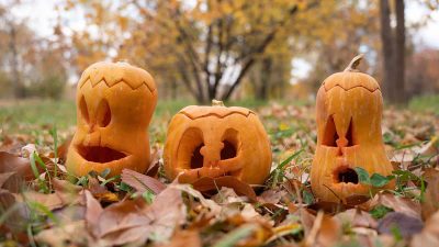 Cute Pumpkin Carving Ideas