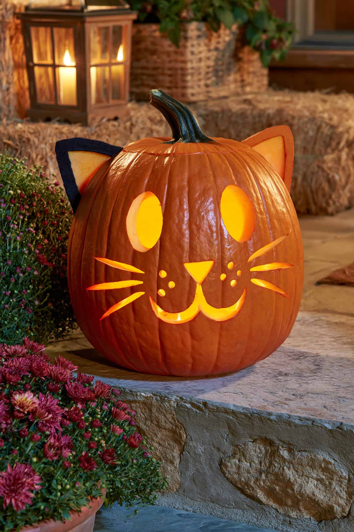 Friendly Cat Face Pumpkin