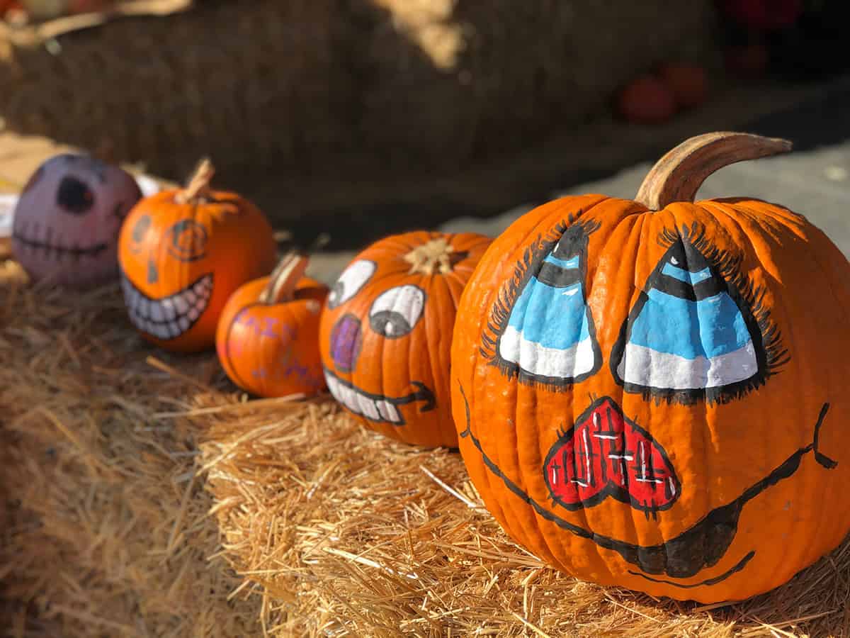 Glamorous Lady Face Pumpkin