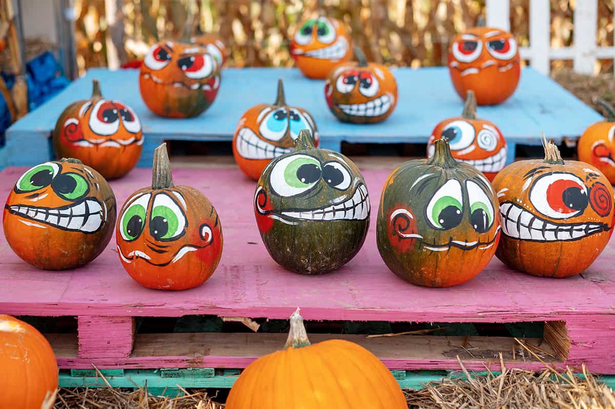 Goofy Cartoon Pumpkin Collection